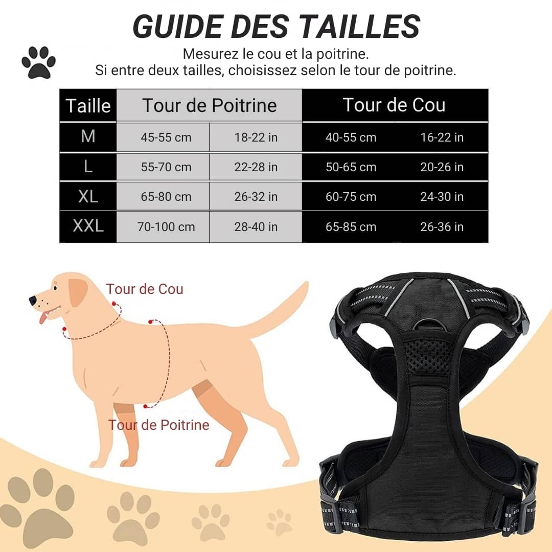 arnés para perros