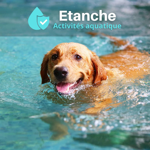 Reemplazo de collar receptor a prueba de agua y recargable para cerca invisible anti escape con antena de alambre