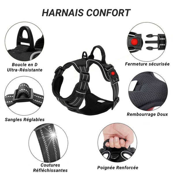 arnés para perros