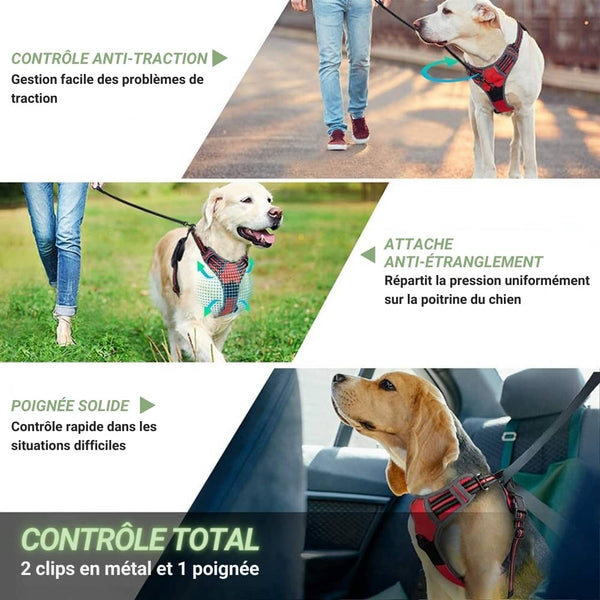 arnés para perros