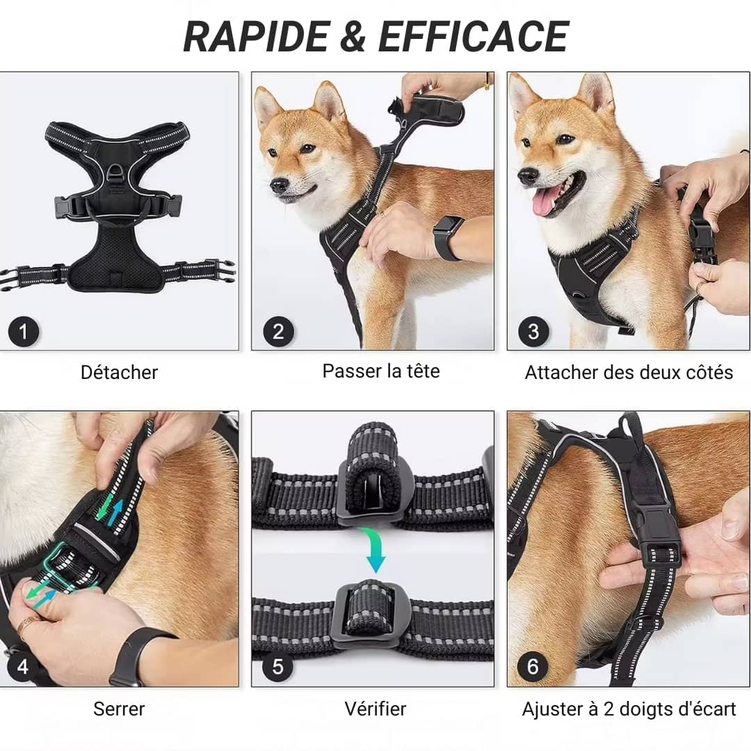 arnés para perros