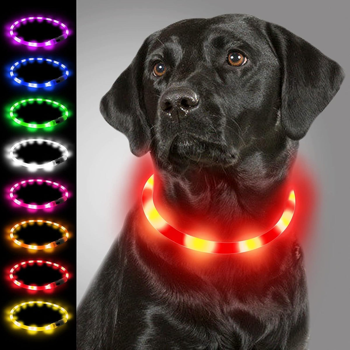 Collar de luz LED para perros