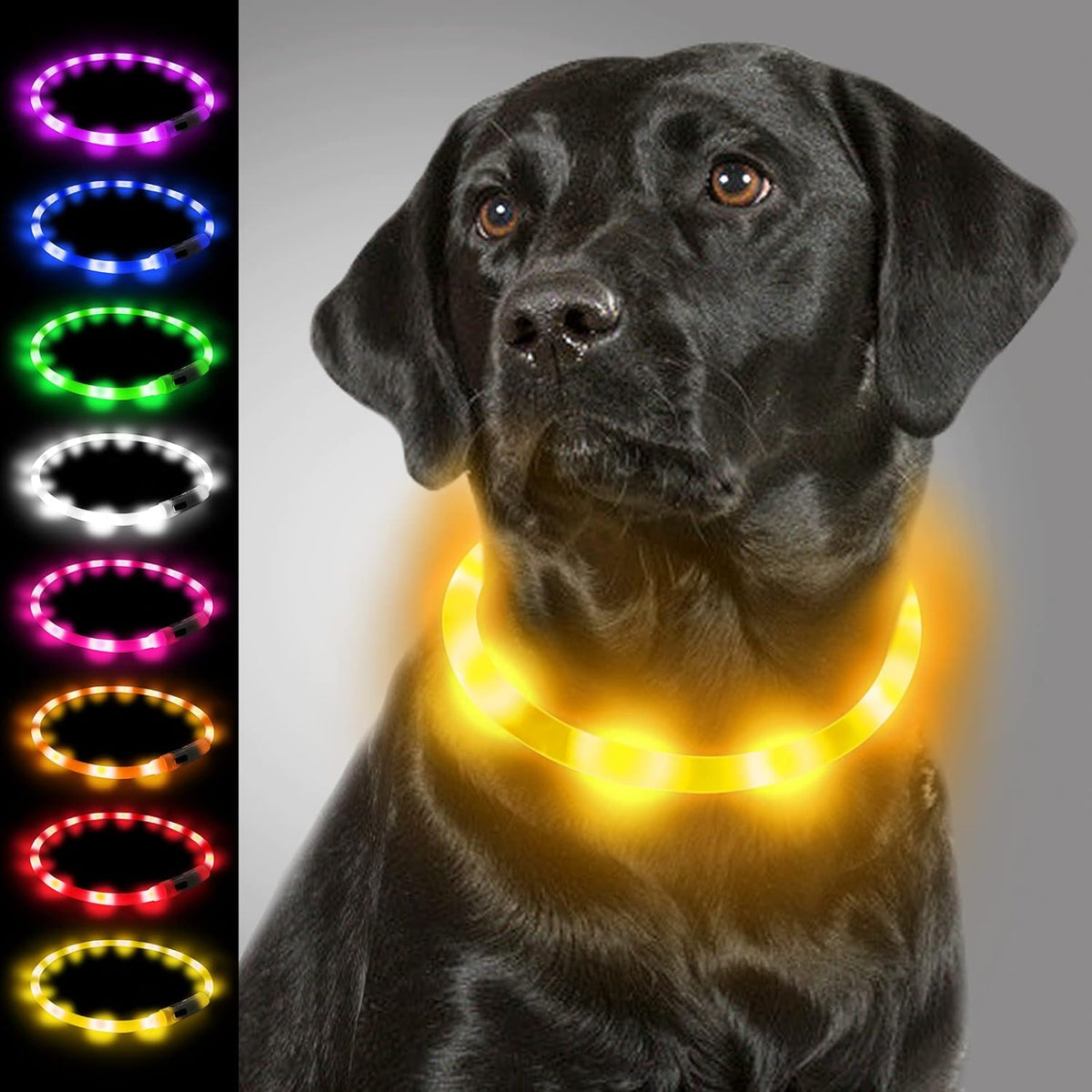 Collar de luz LED para perros