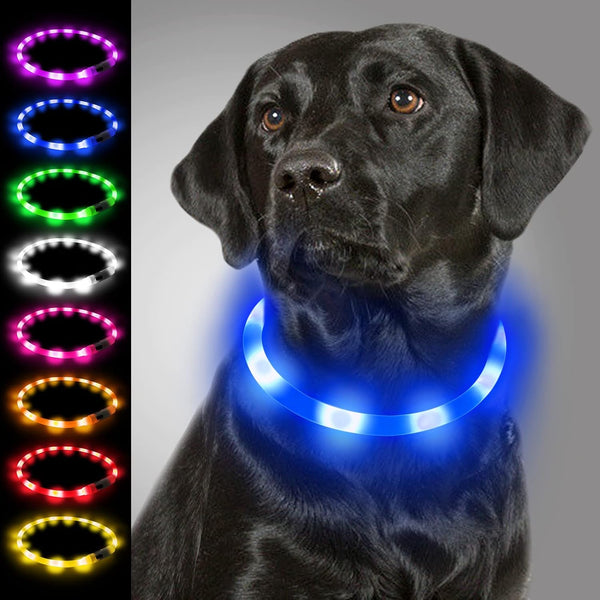 Collar de luz LED para perros