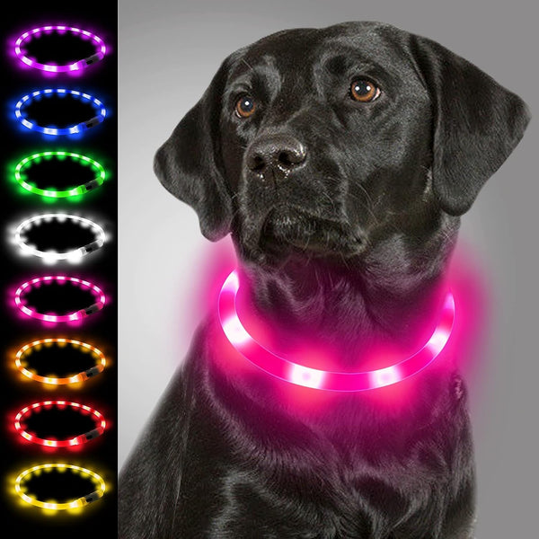 Collar de luz LED para perros