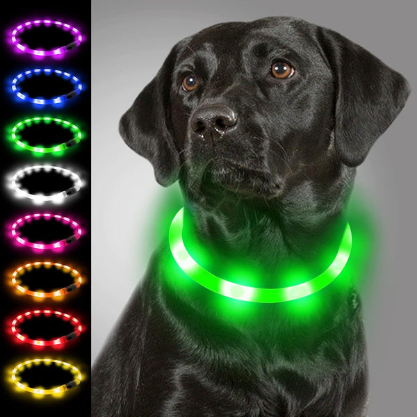 Collar de luz LED para perros