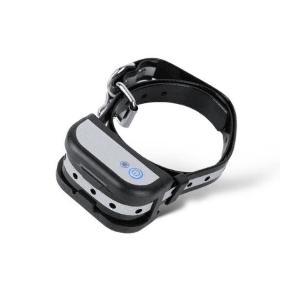Collar receptor adicional para antiescape con cable SafeSpace (antigua generación)