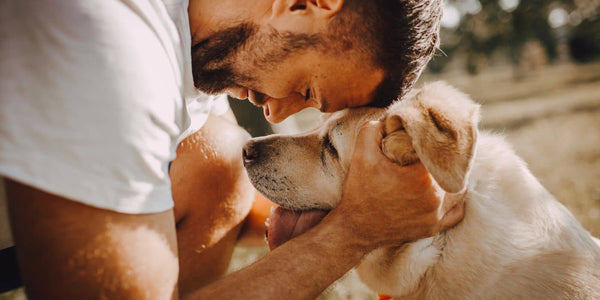 L'éducation positive : une approche efficace pour prévenir la fugue des chiens