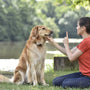 Comment bien éduquer votre chien : Conseils pour un chien bien élevé !