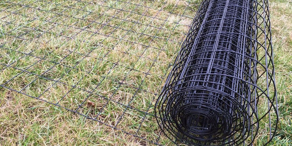 dog with anti-escape fence in a garden