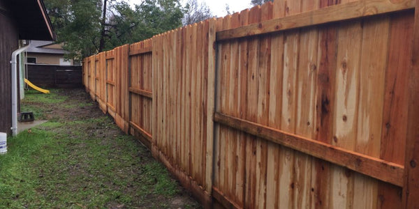 wireless dog fence in a backyard