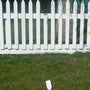 dog using PetSafe anti-escape fence in backyard