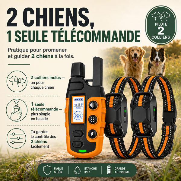 Collier de dressage SecureTouch longue portée