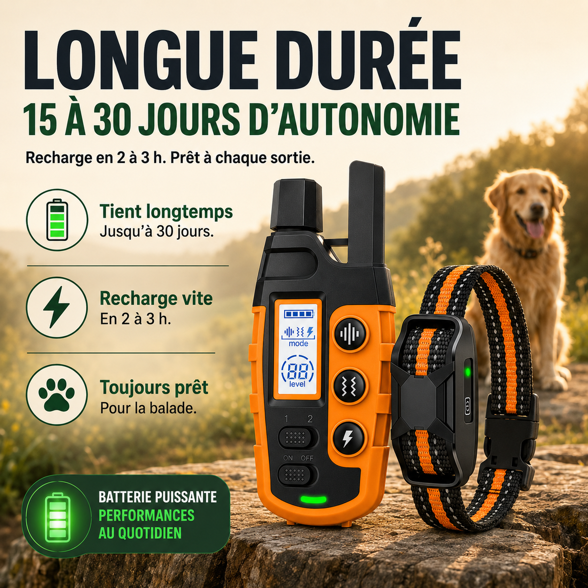 Collier de dressage SecureTouch longue portée