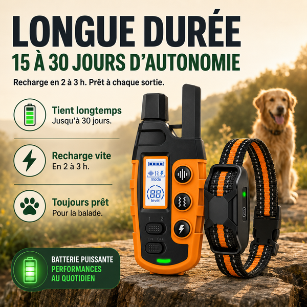 Collier de dressage SecureTouch longue portée